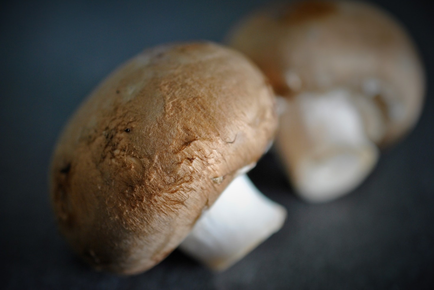 How to Cook Perfect Mushrooms Every Time