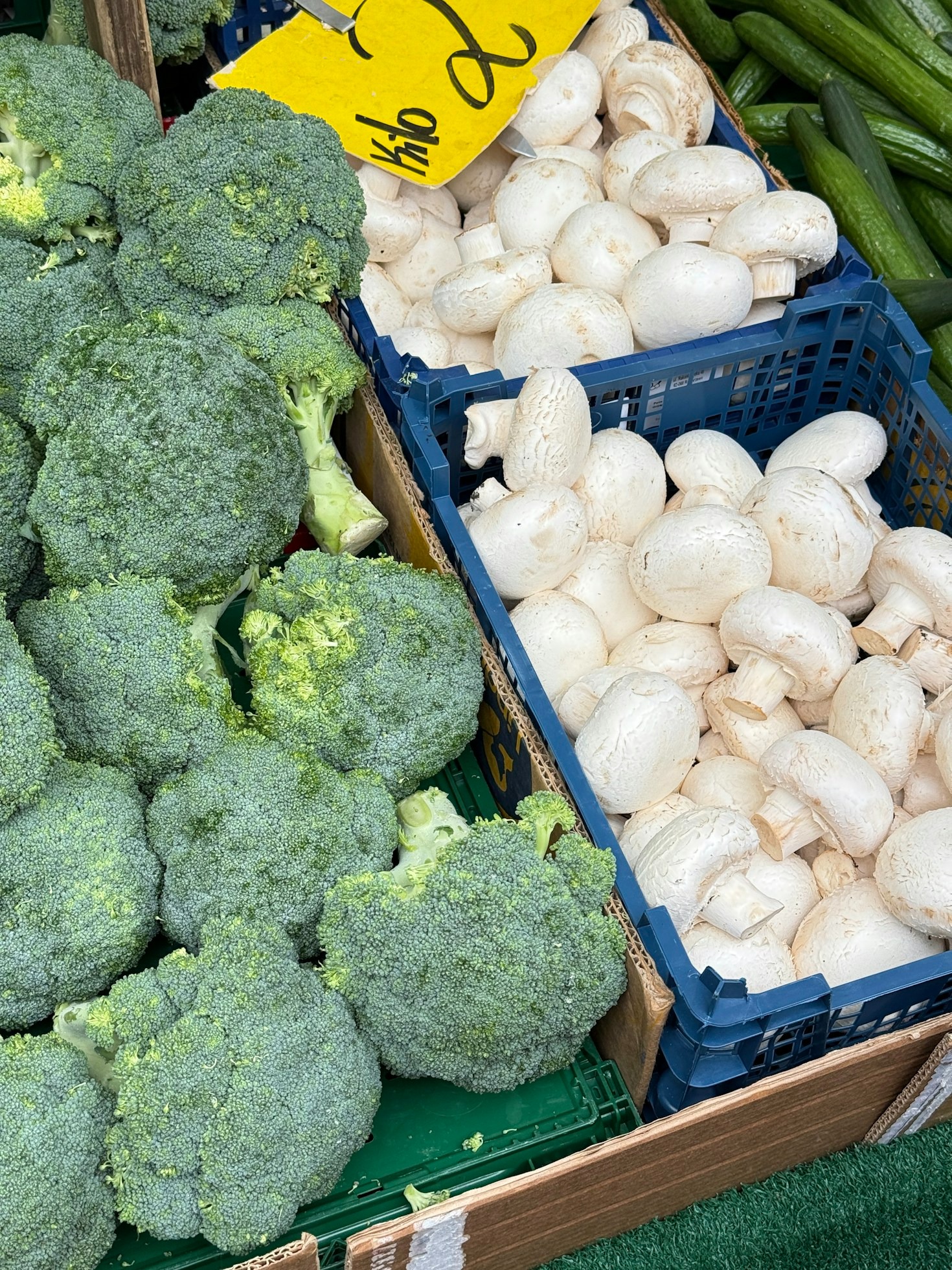 Sustainability and Quality at Gindokhar Farms